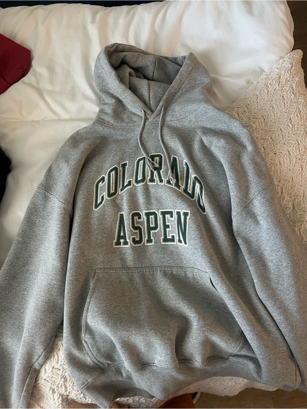 Brandy Melville Gray Colorado Aspen Hoodie